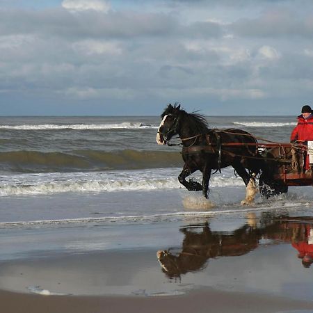 海边的艾格蒙特Centraal Aan Zee公寓 外观 照片