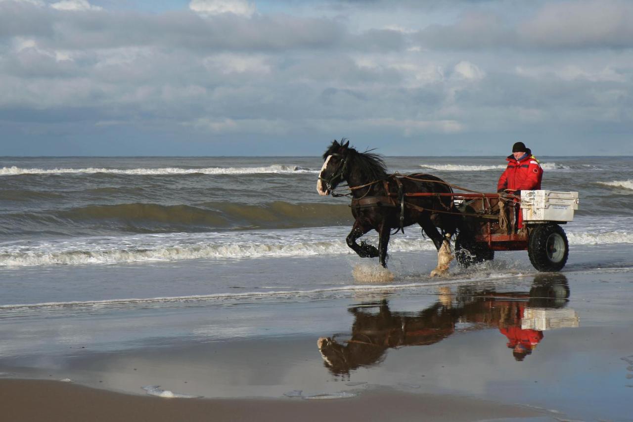 海边的艾格蒙特Centraal Aan Zee公寓 外观 照片